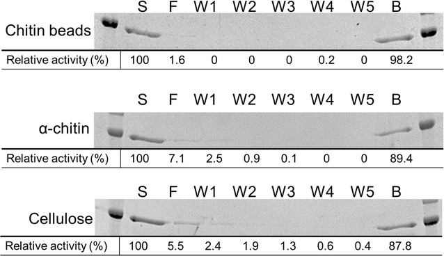 Fig. 5