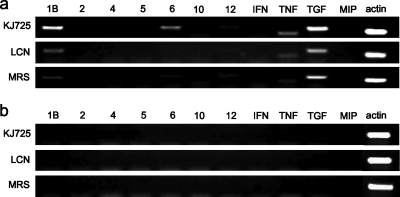 FIG. 4.