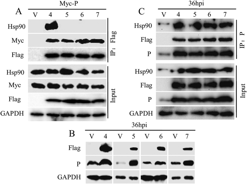 Figure 6