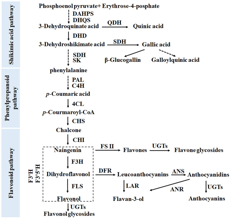 FIGURE 1