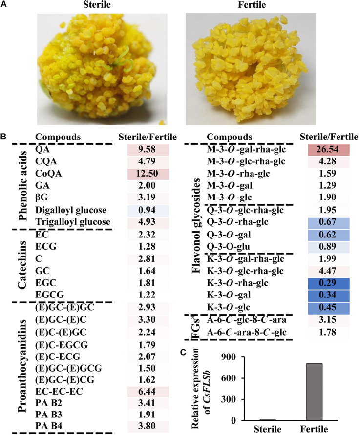 FIGURE 4