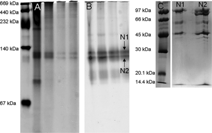 FIG. 2.