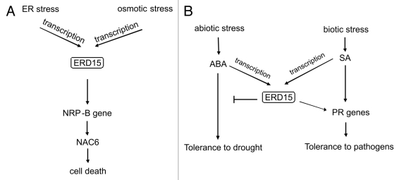 Figure 1.