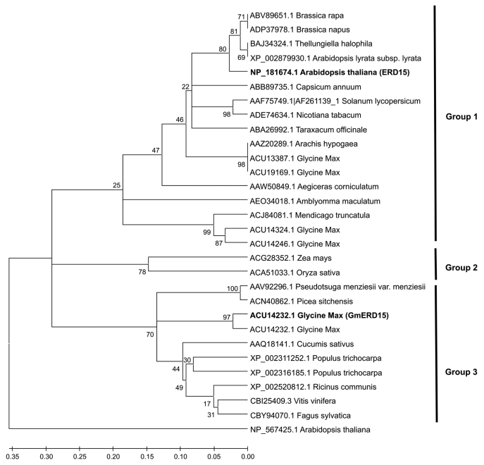 Figure 2.