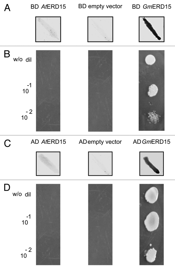 Figure 3.