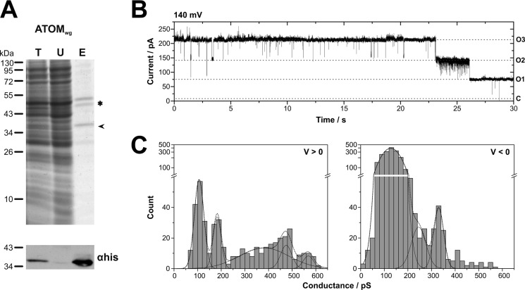 FIGURE 3.