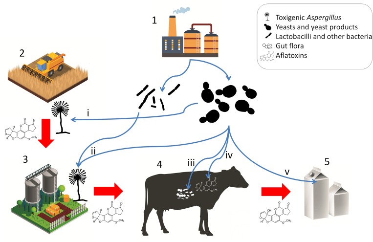 FIGURE 3