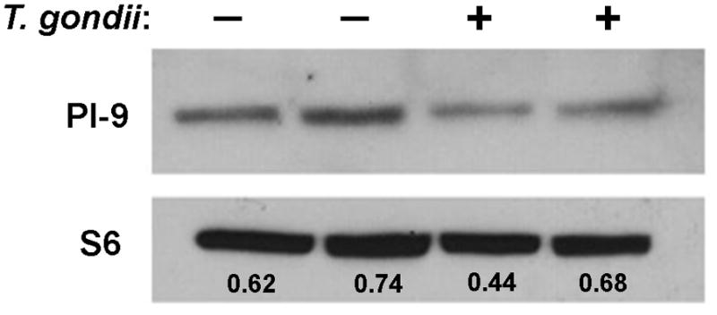 Fig. 9