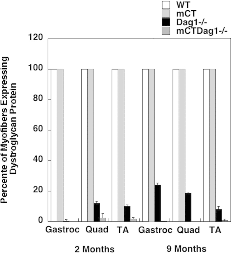 Supplemental Figure S10