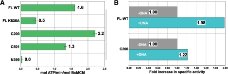 Figure 5.