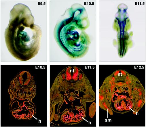 FIG. 2.