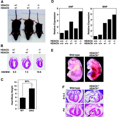 FIG. 6.