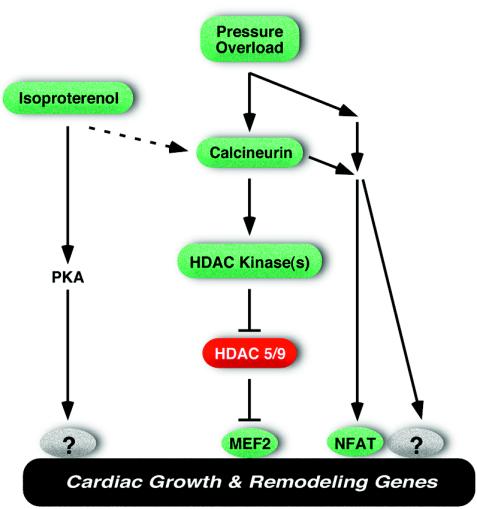 FIG. 7.