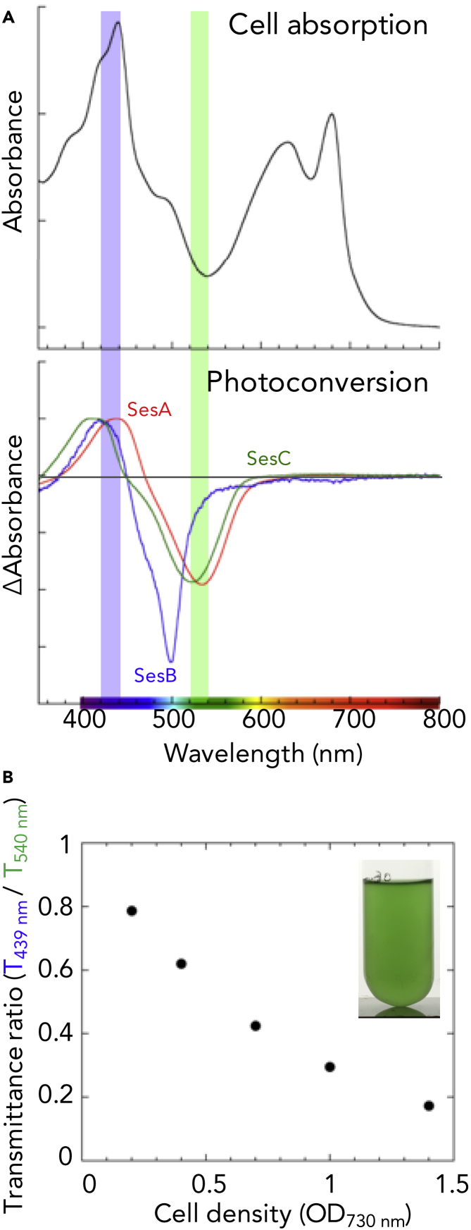 Figure 1