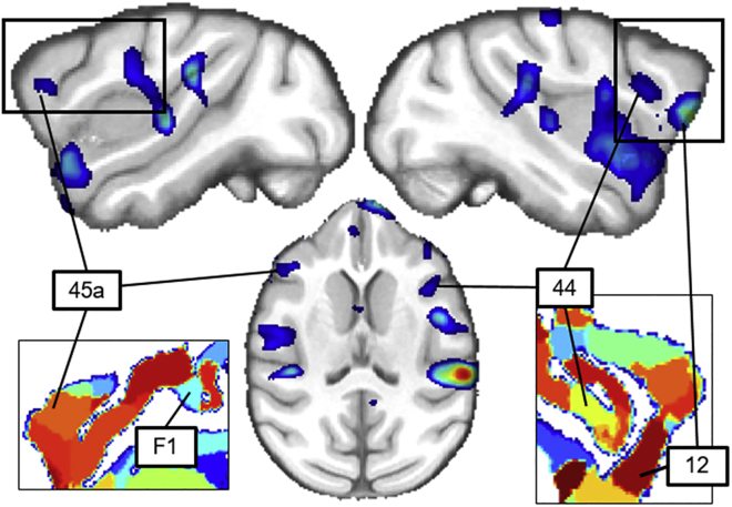 Figure 2