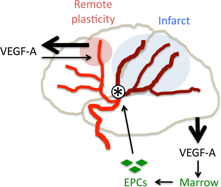 Fig. 3