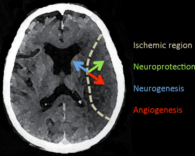 Fig. 2