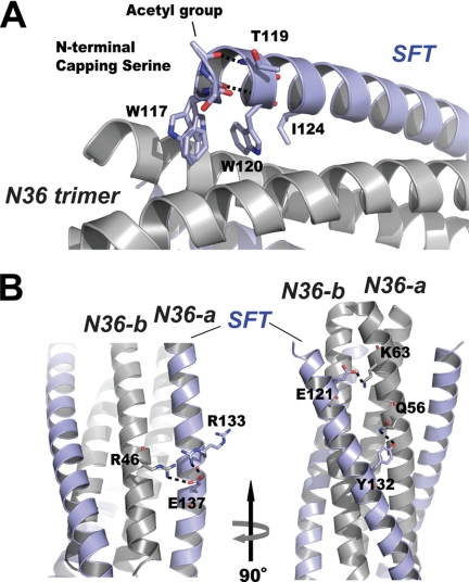 FIGURE 3.