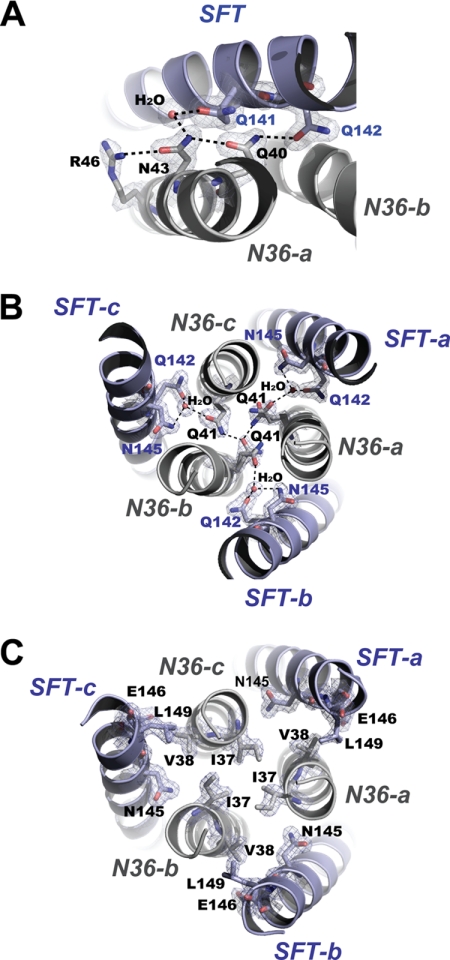 FIGURE 4.