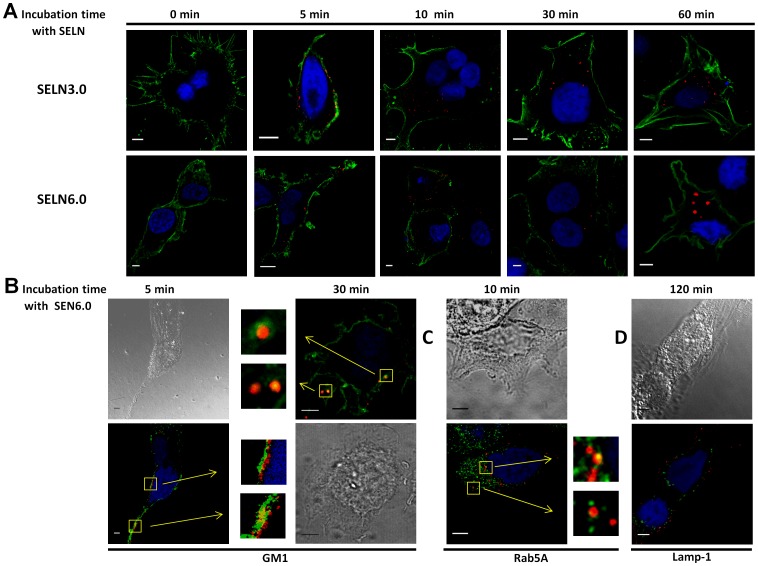 Figure 10