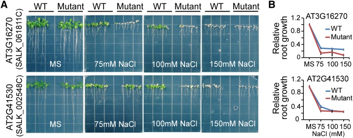 Figure 6.