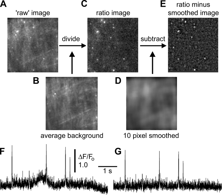 Figure 2.