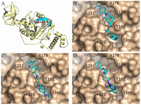 Figure 5