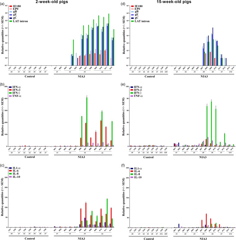 FIG 6