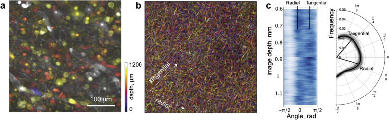 Fig. 7