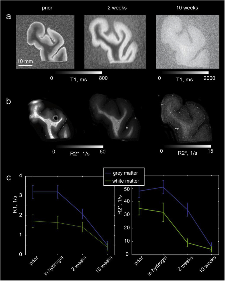 Fig. 4