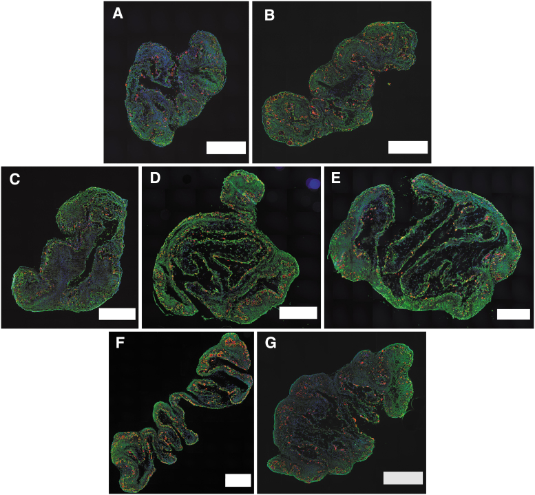 FIG. 4.