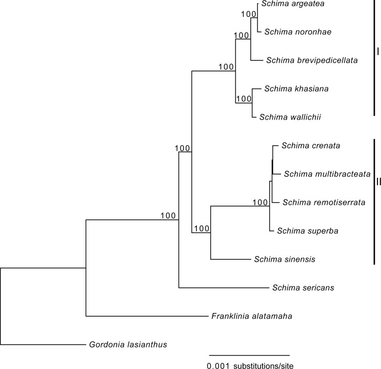 Fig 5