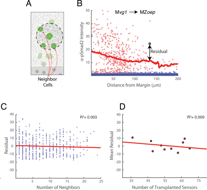 Figure 2—figure supplement 2.