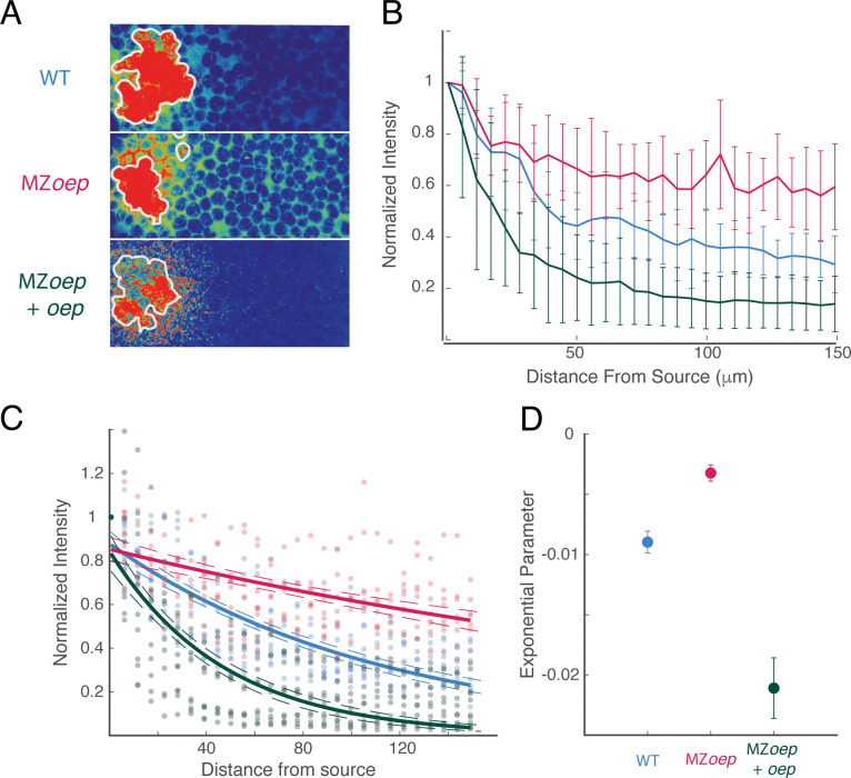 Figure 2—figure supplement 3.