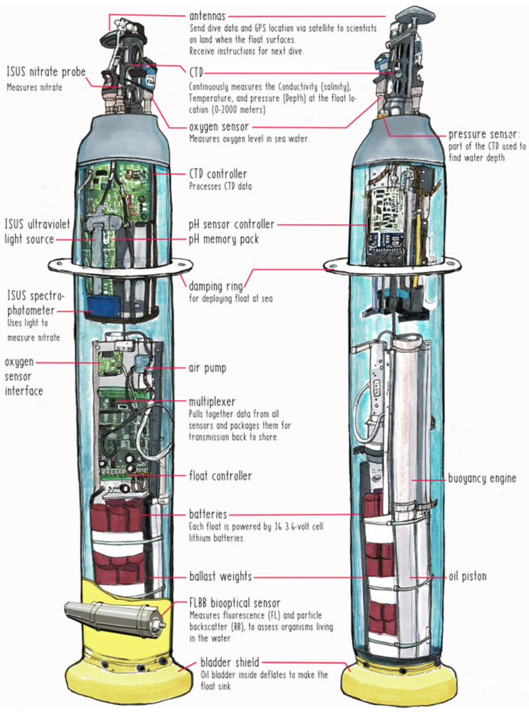 Figure 12