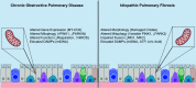 FIGURE 10.