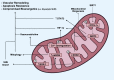 FIGURE 9.