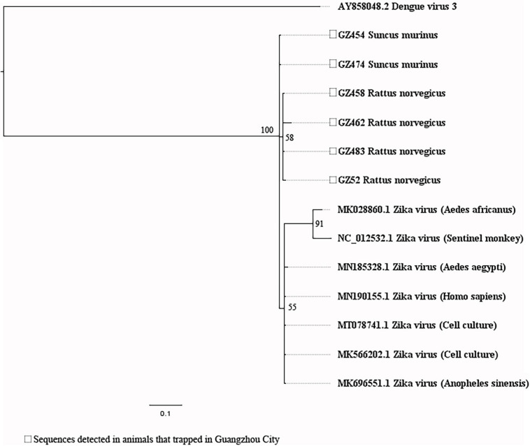 FIGURE 6