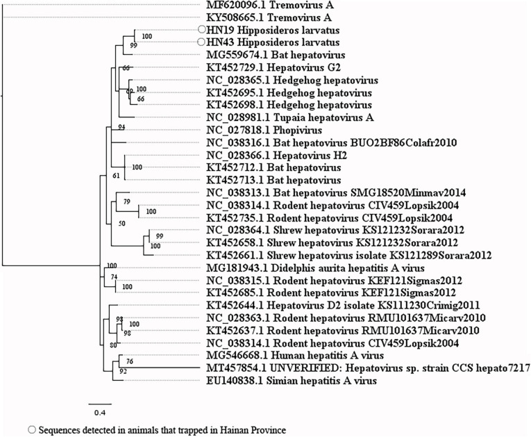 FIGURE 4