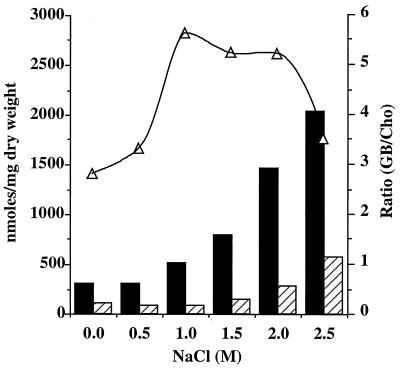 FIG. 6