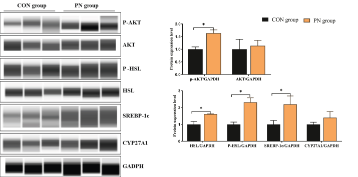 Fig. 6