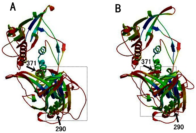 Figure 7