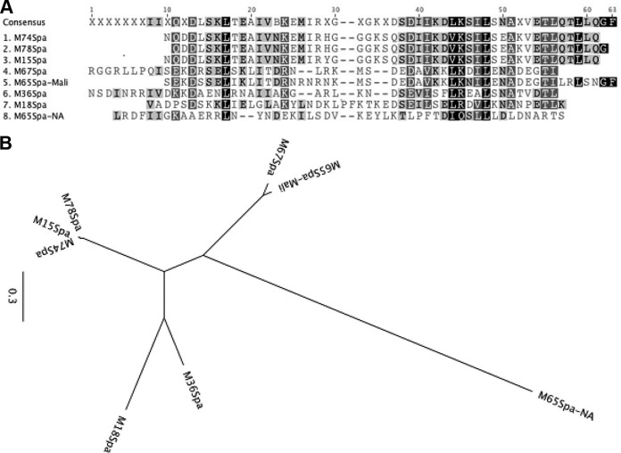 FIG 3