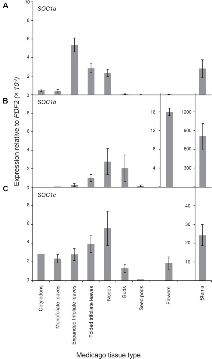 FIGURE 3