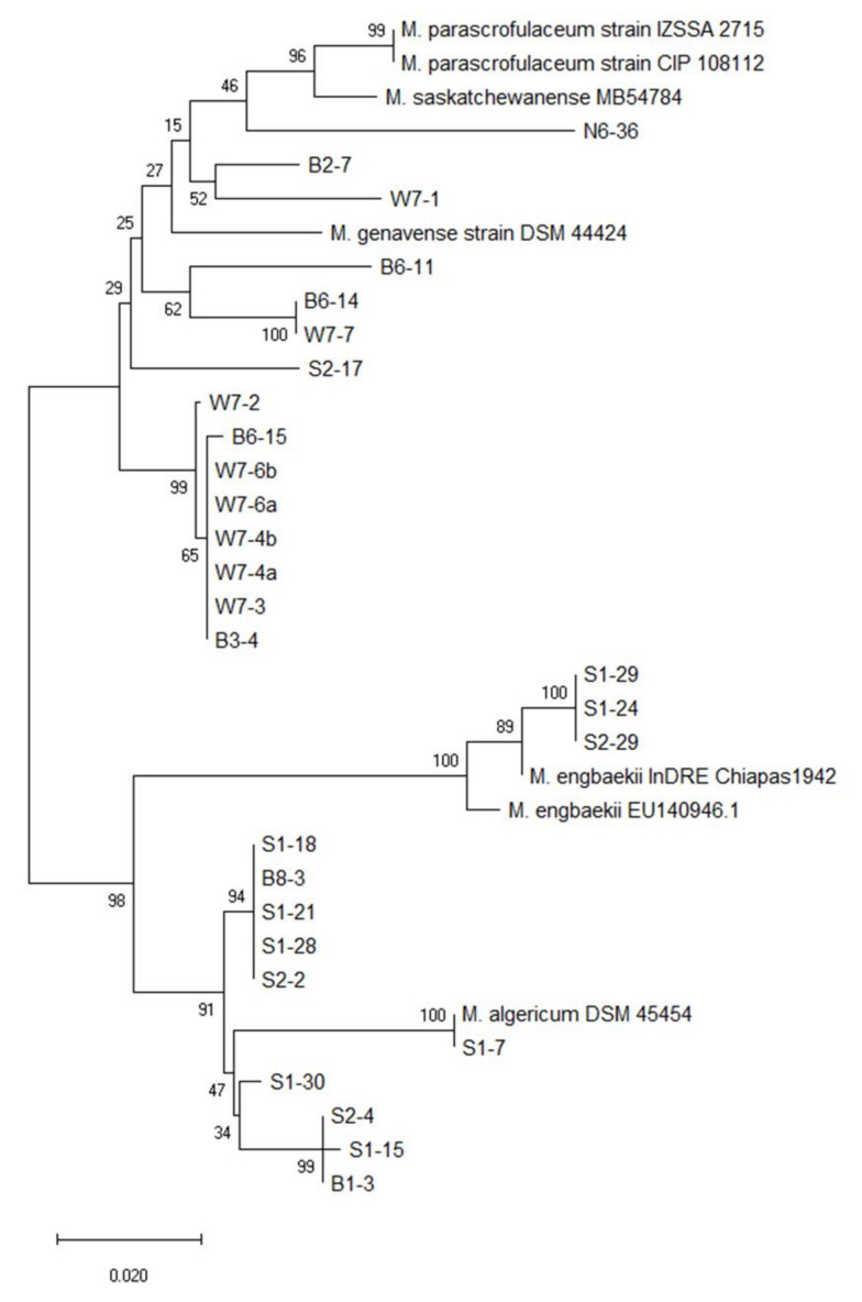 Figure 6