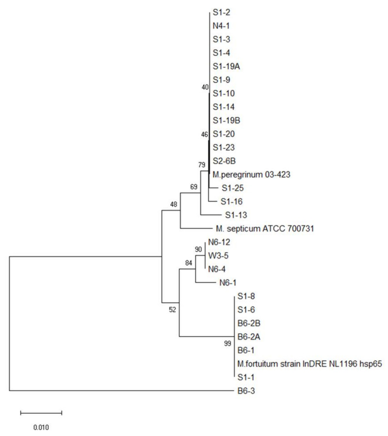 Figure 7