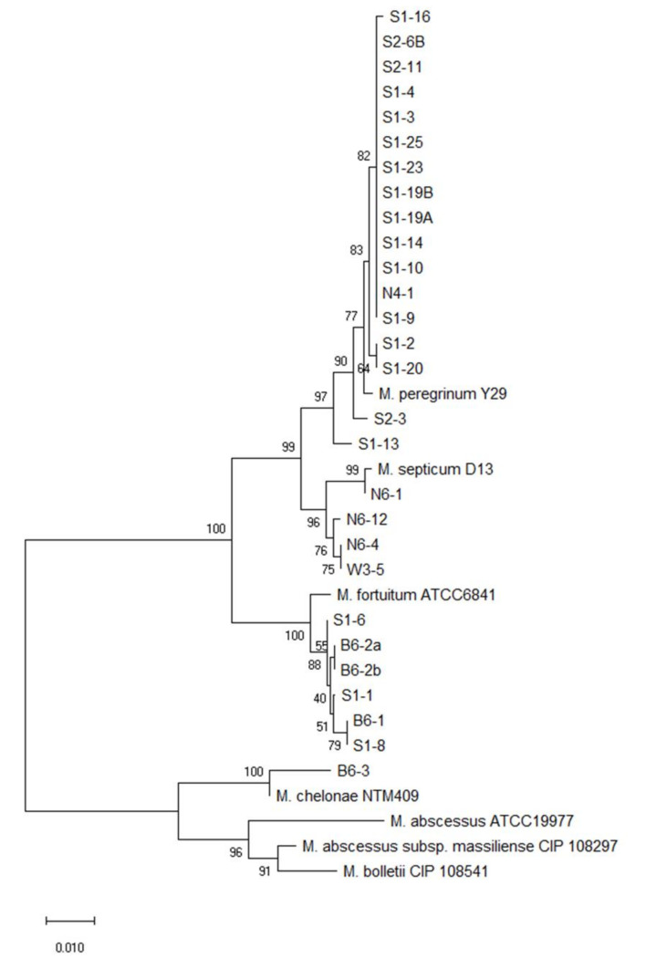 Figure 4