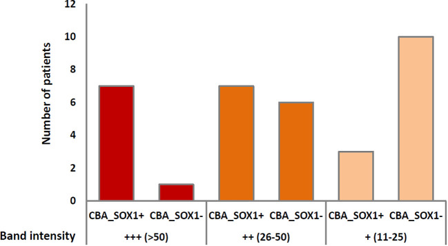 Figure 1