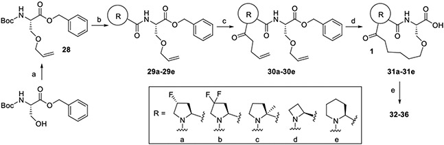 SCHEME 2.