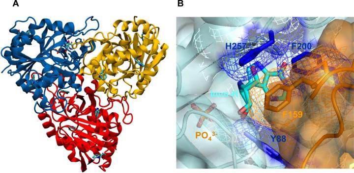 FIGURE 1